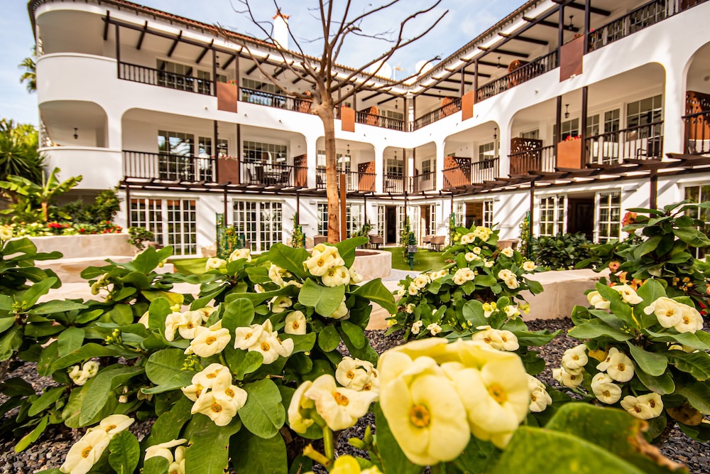 Eden Meloneras by TAM Resorts 35/50