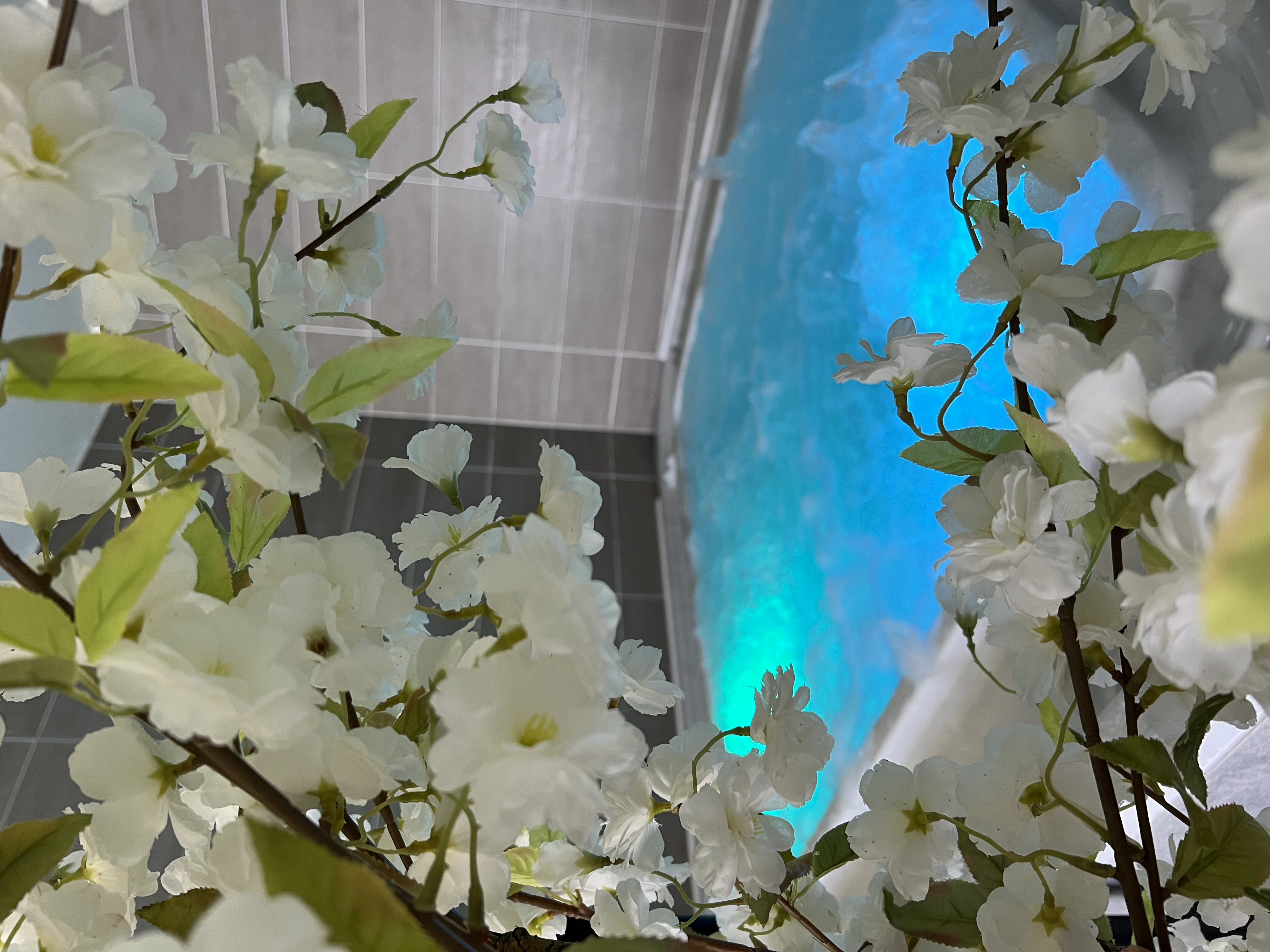 HOTEL LE CALME DES PINS SPA 3/43