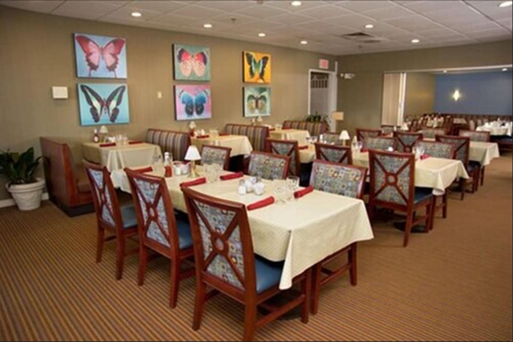 Forest Park Hotel 18/25