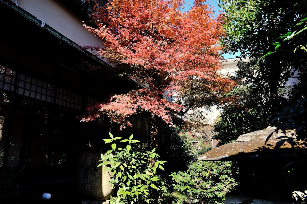 Yadoya Nishijinso 60/64