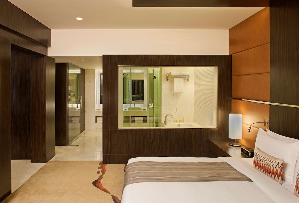 Radisson Blu Hotel Amritsar 29/70