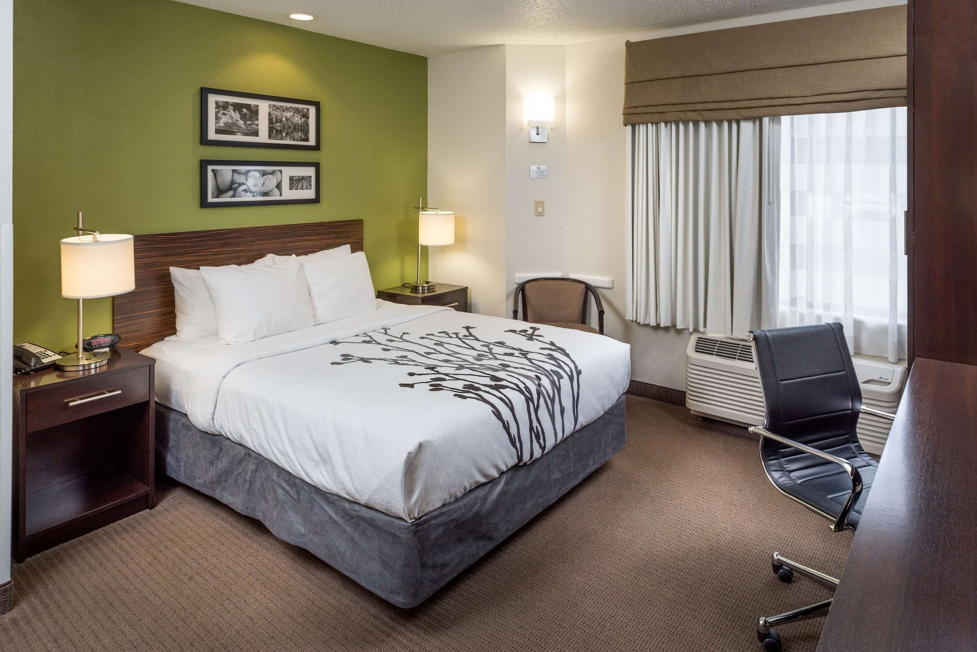 Suite, Queen Bed, Sofa, Accessible