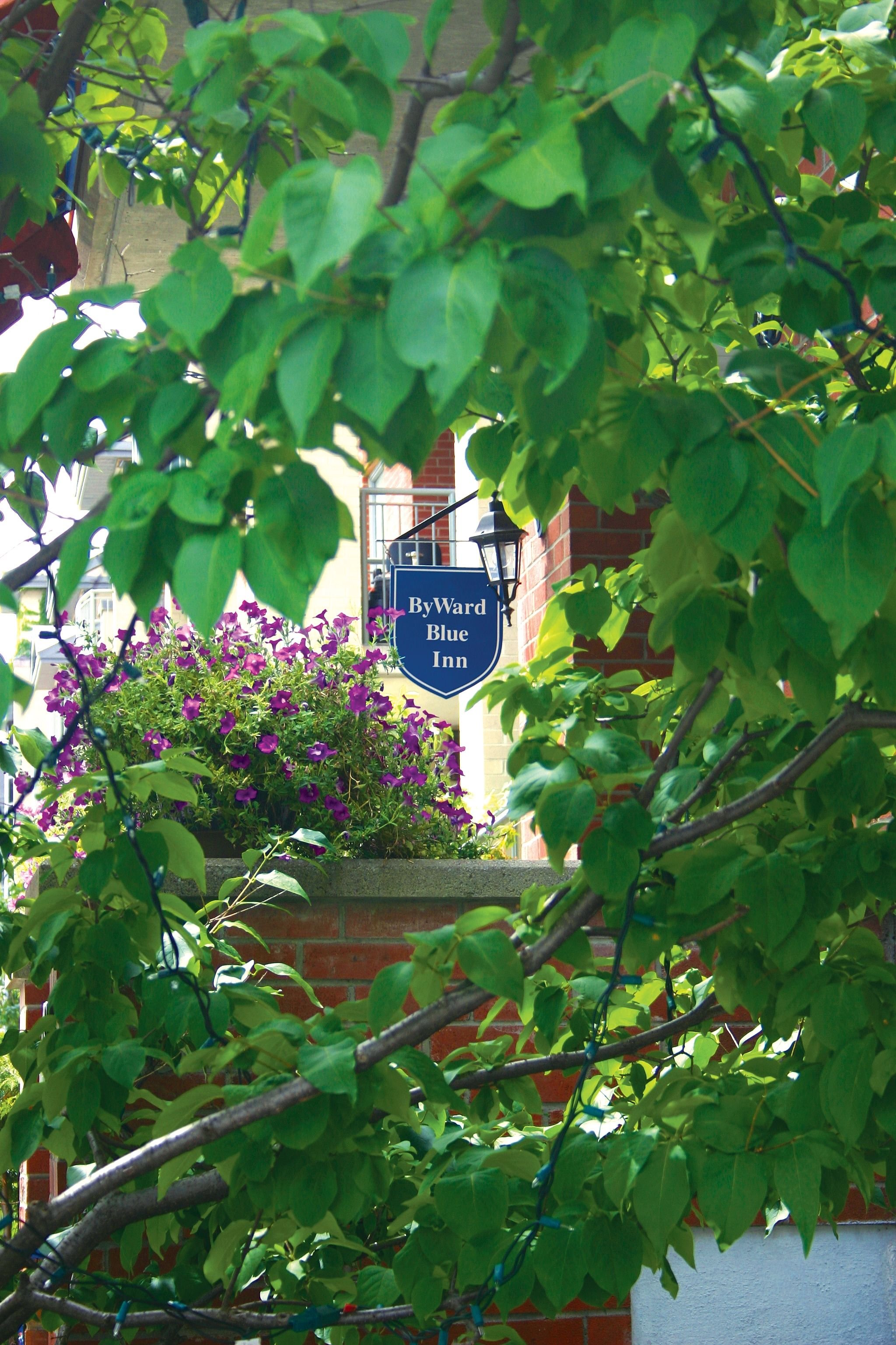 Byward Blue Inn 37/38