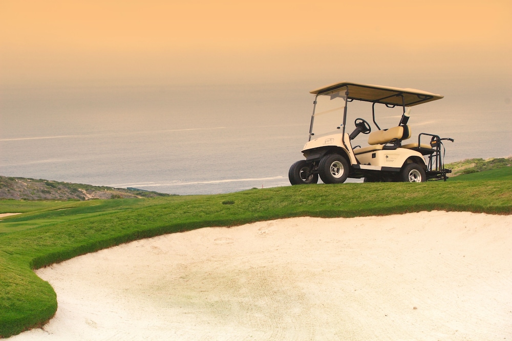 Pinnacle Point Golf Estate Fynbos 5 20/33