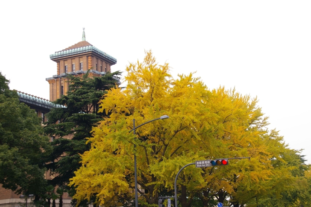 Sotetsu Fresa Inn Yokohama Totsuka 6/69