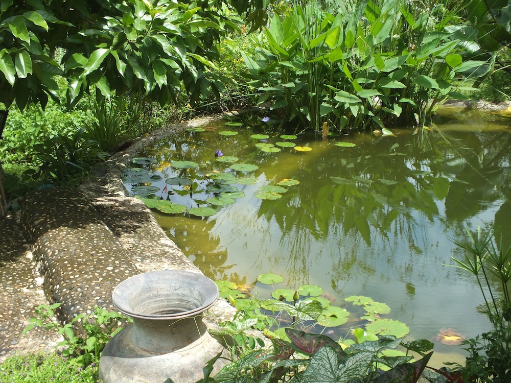 Chiang Dao Roundhouses 28/47