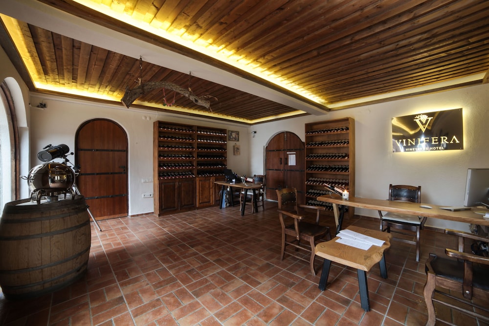 Vinifera Vineyards Hotel 31/50