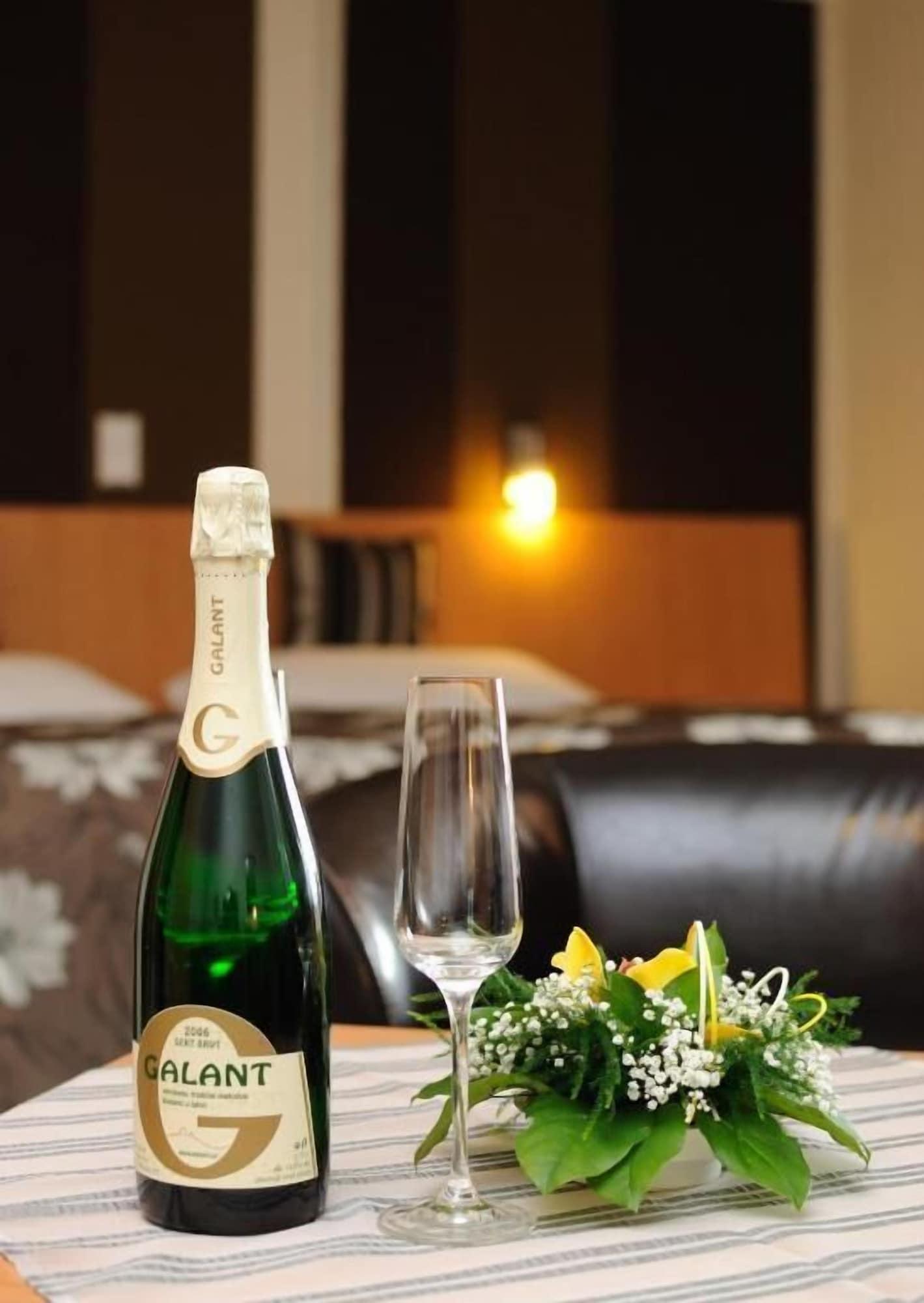 Galant Mikulov Hotel 24/58