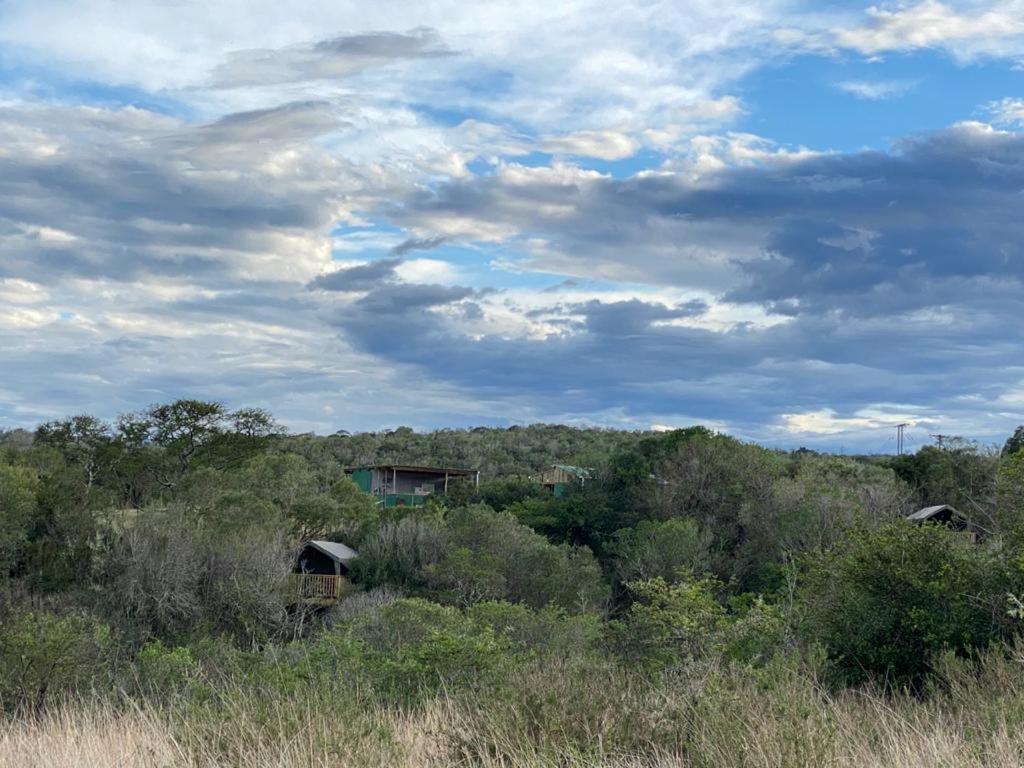 Horseshoe Game Reserve 33/47