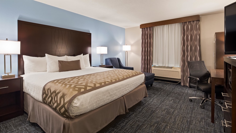 Best Western Plus Flint Airport Inn & Suites 11/38