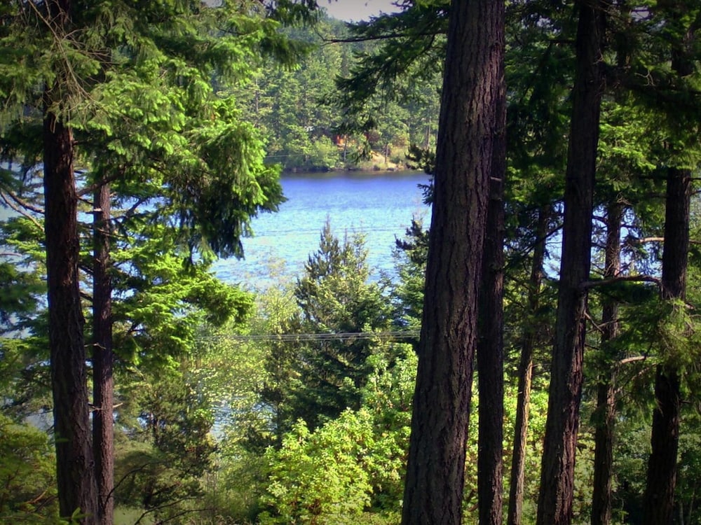 Inn to the Woods Bed and Breakfast 25/33