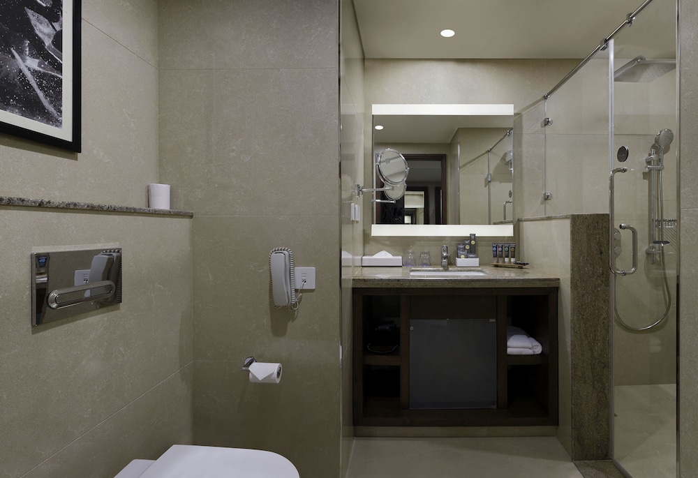 Novotel Kochi Infopark 13/60