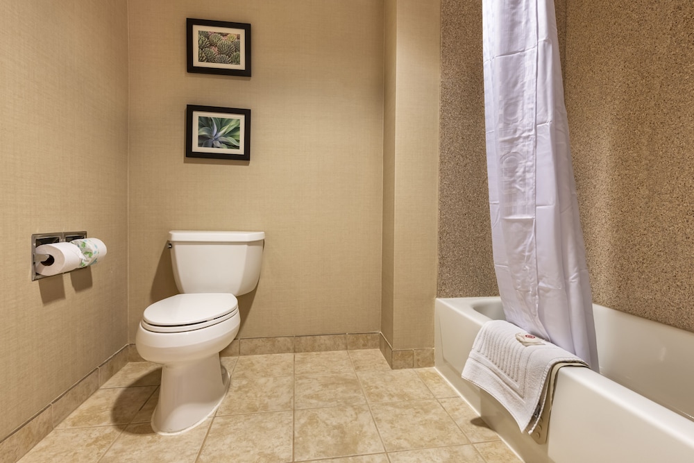 Comfort Suites Goodyear West Phoenix 10/33