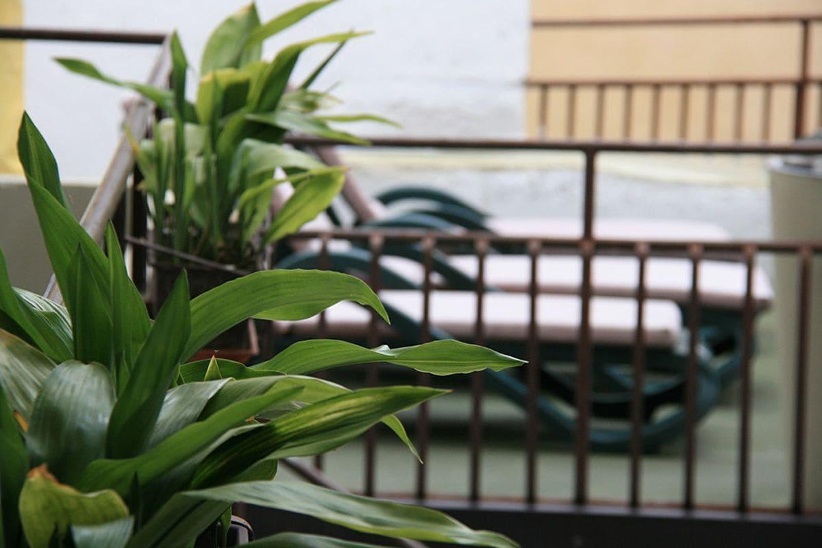 Hotel Modena 26/26