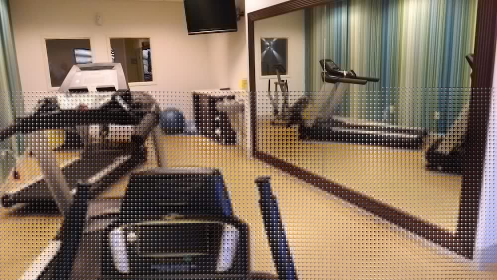 Holiday Inn Express Hotel Suites Dyersburg 28/41
