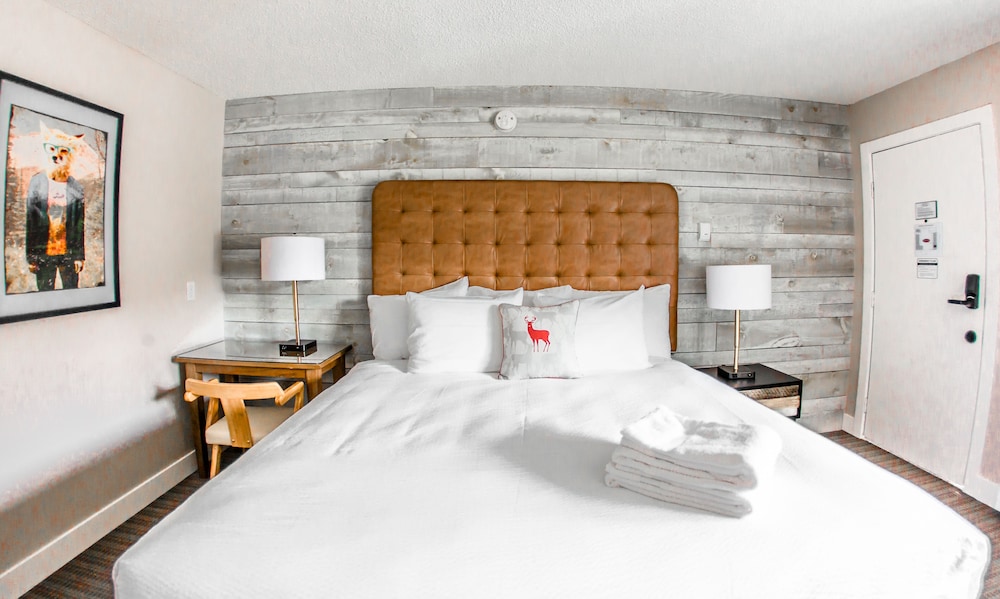 Lamphouse Hotel 10/49