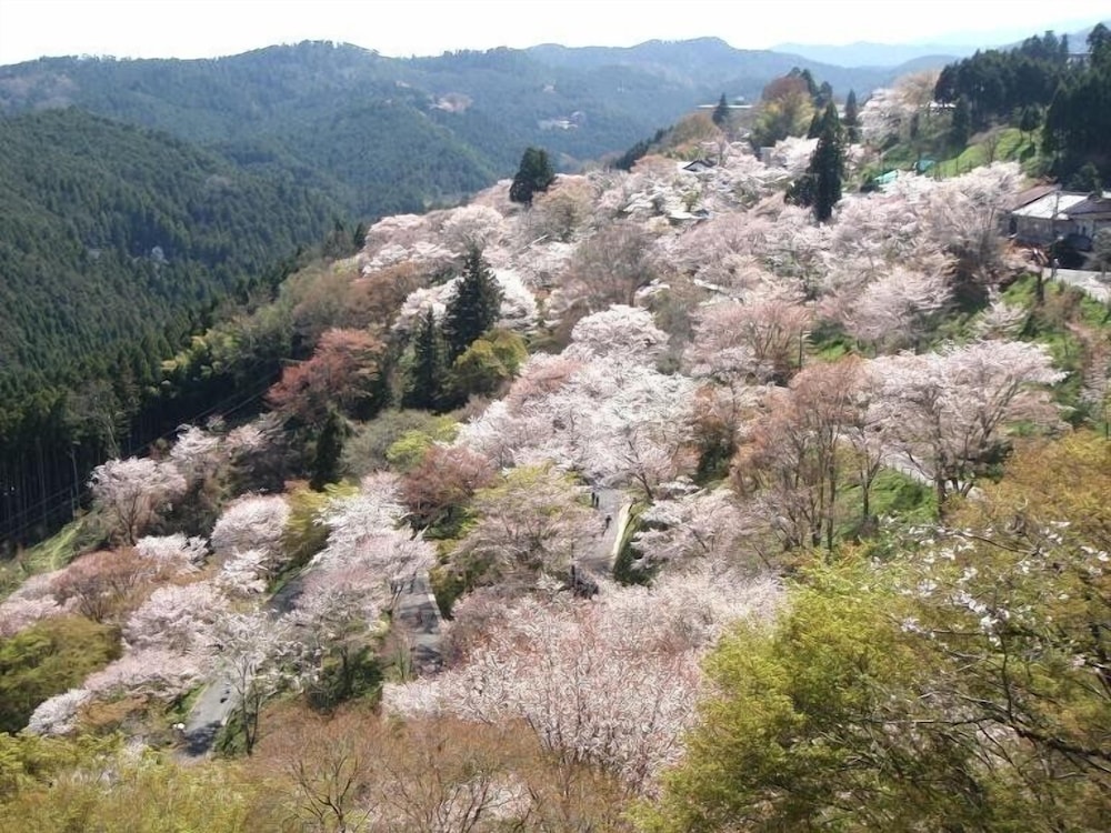 Yoshinoso Yukawaya 61/65