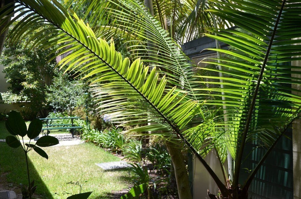 AVONMORE ON THE PARK BOUTIQUE HOTEL 28/39