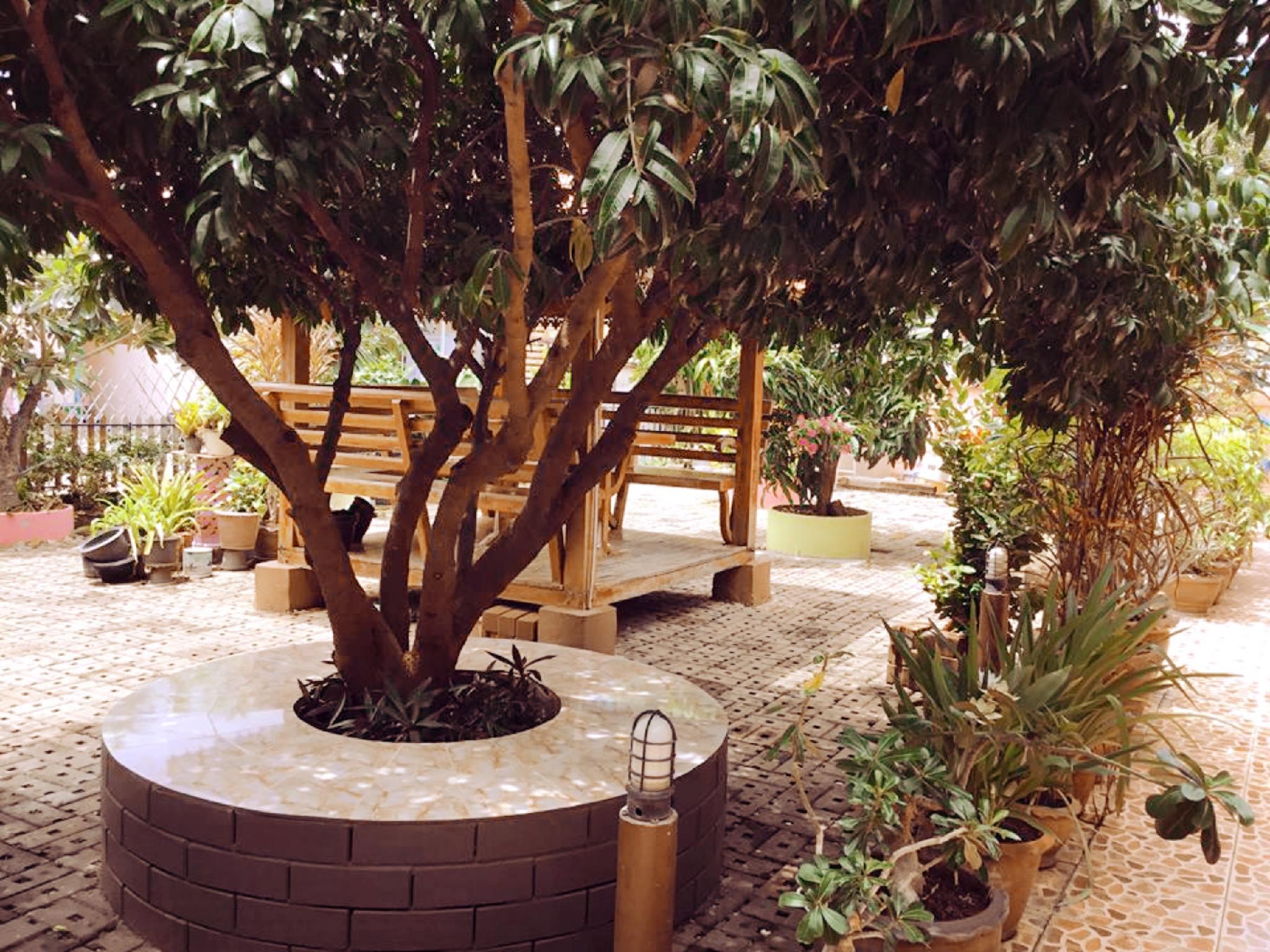 My Home Guest House 53/58