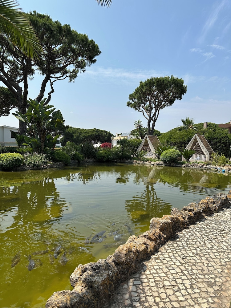Falesia Hotel - Adults Only 66/69
