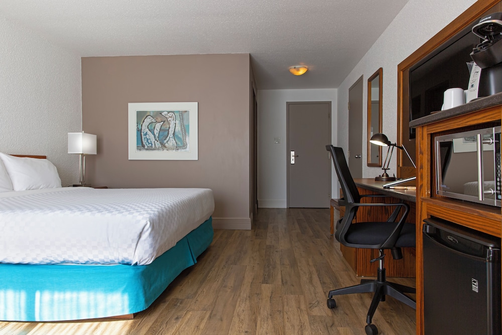 Hotel L Oiseliere Montmagny 19/60