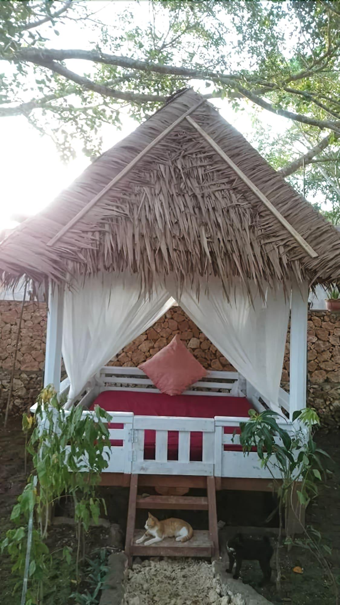 Cosmos Bungalows 2/50