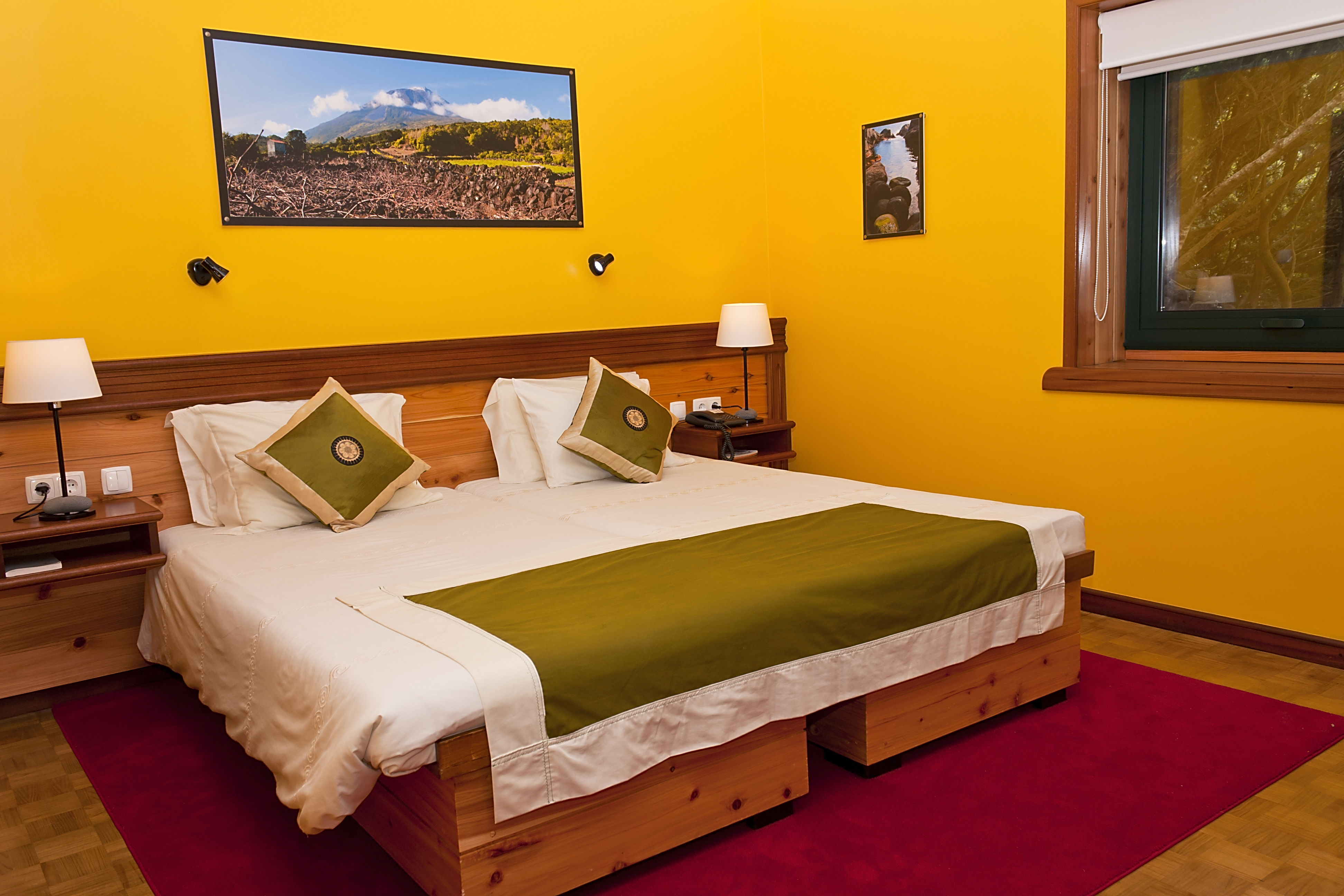Standard, Double or Twin Bed