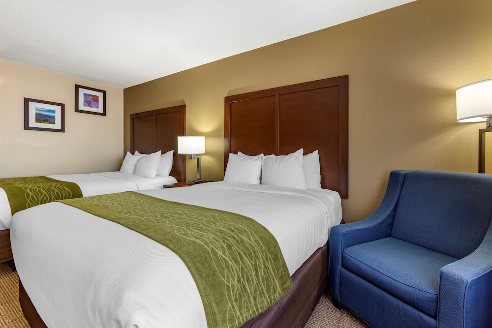 Comfort Inn & Suites Alameda At Albuquerque Balloon Fiesta Park photo5