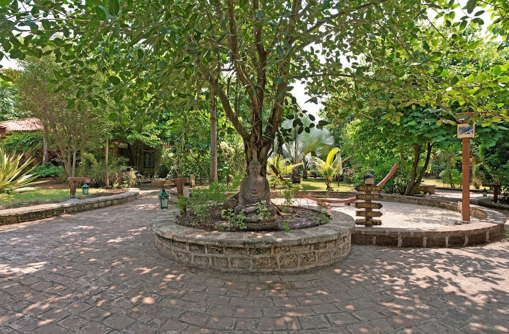 The Fern Gir Forest Resort, Sasan Gir - A Fern Crown Collection Resort 40/46