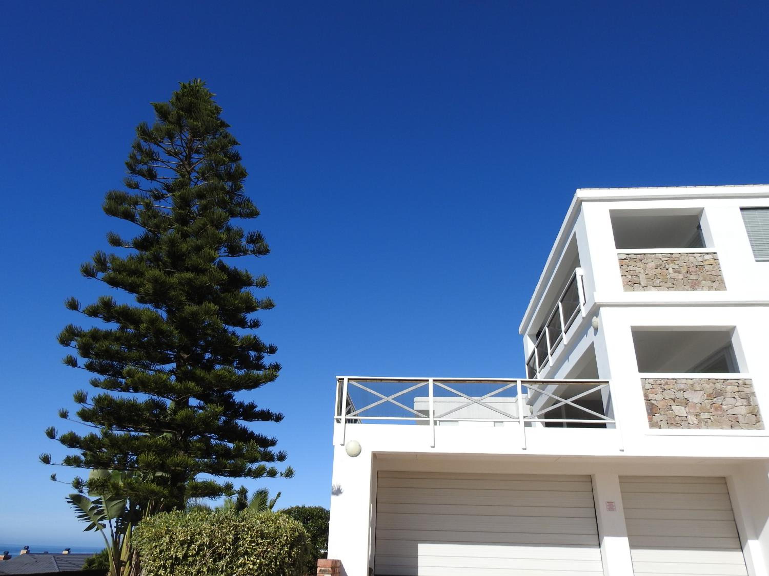 SurfStar at Mimosa 2/50