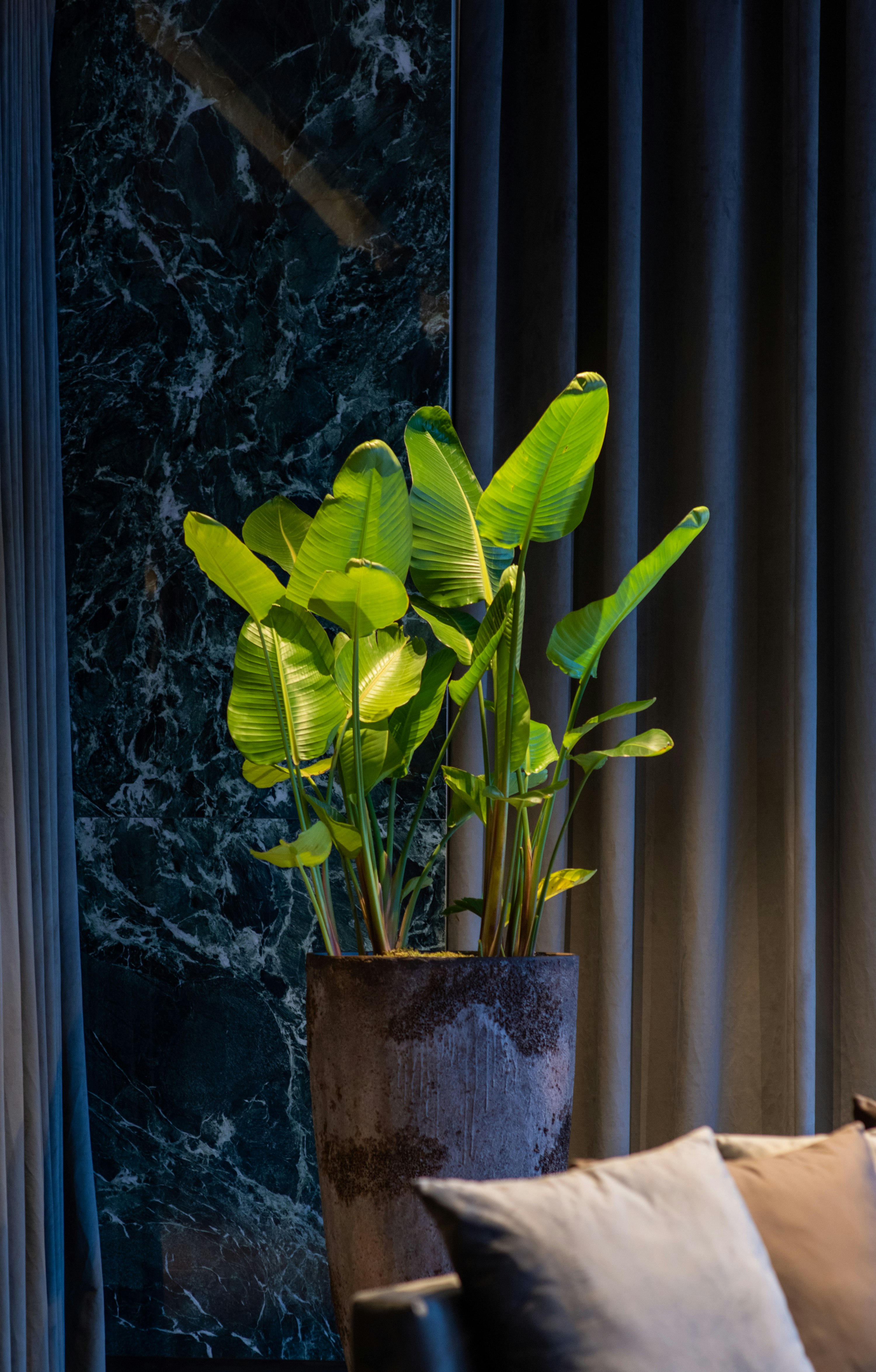 Lobby at Hilton Porto Gaia, VILA NOVA DE GAIA