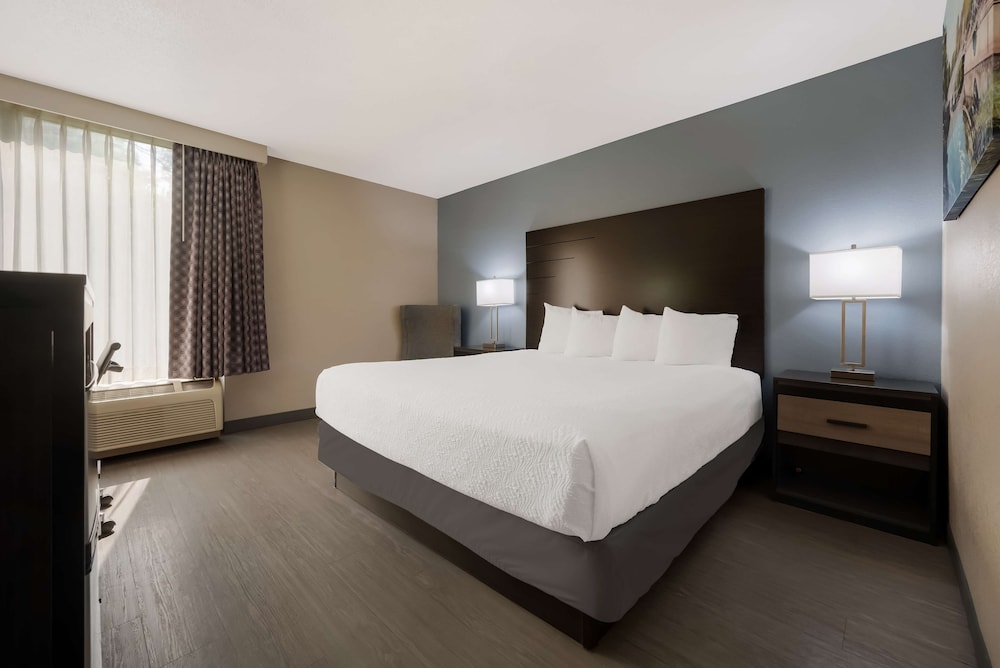 Standard, King Bed