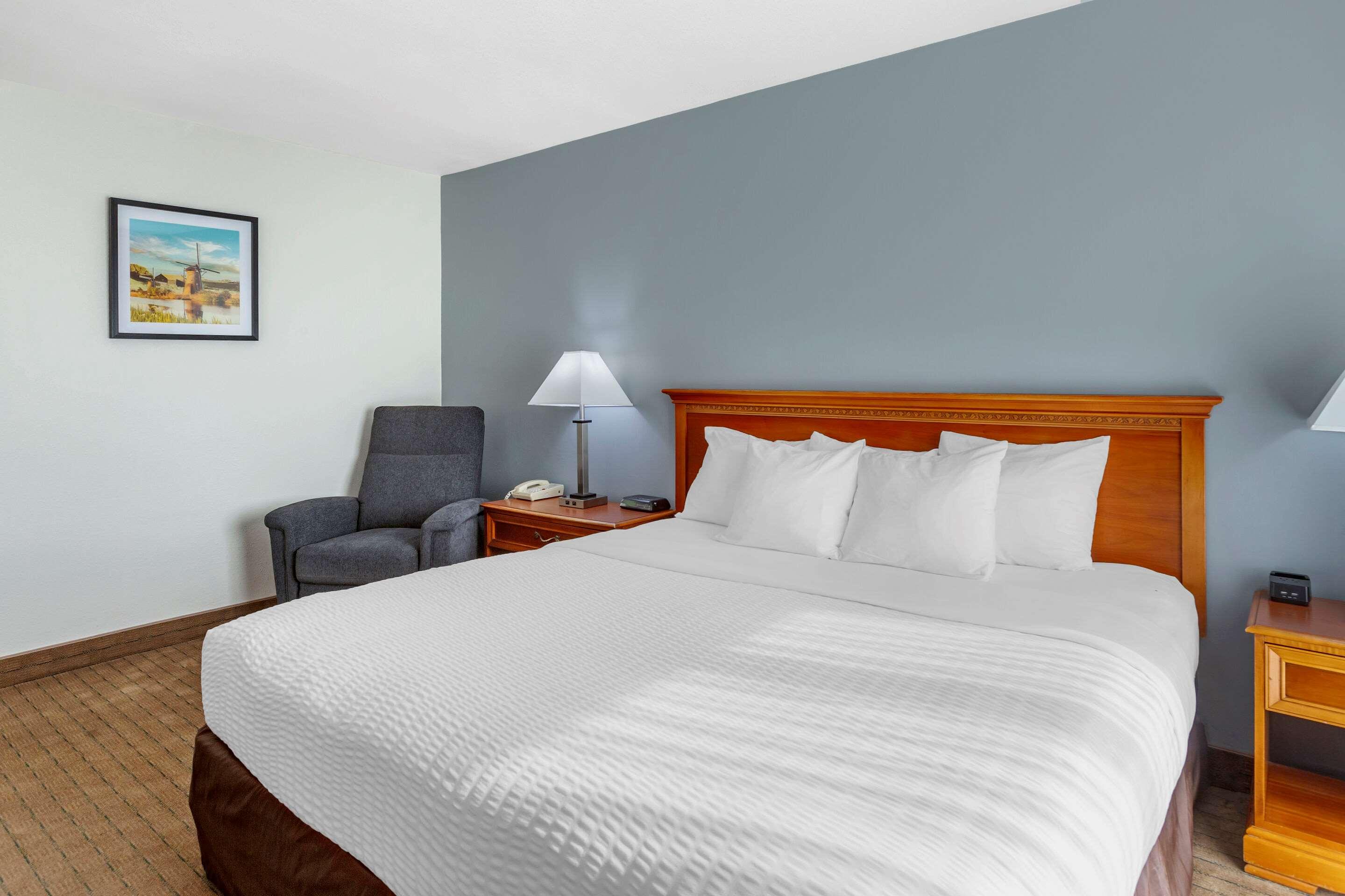 Room, King Bed