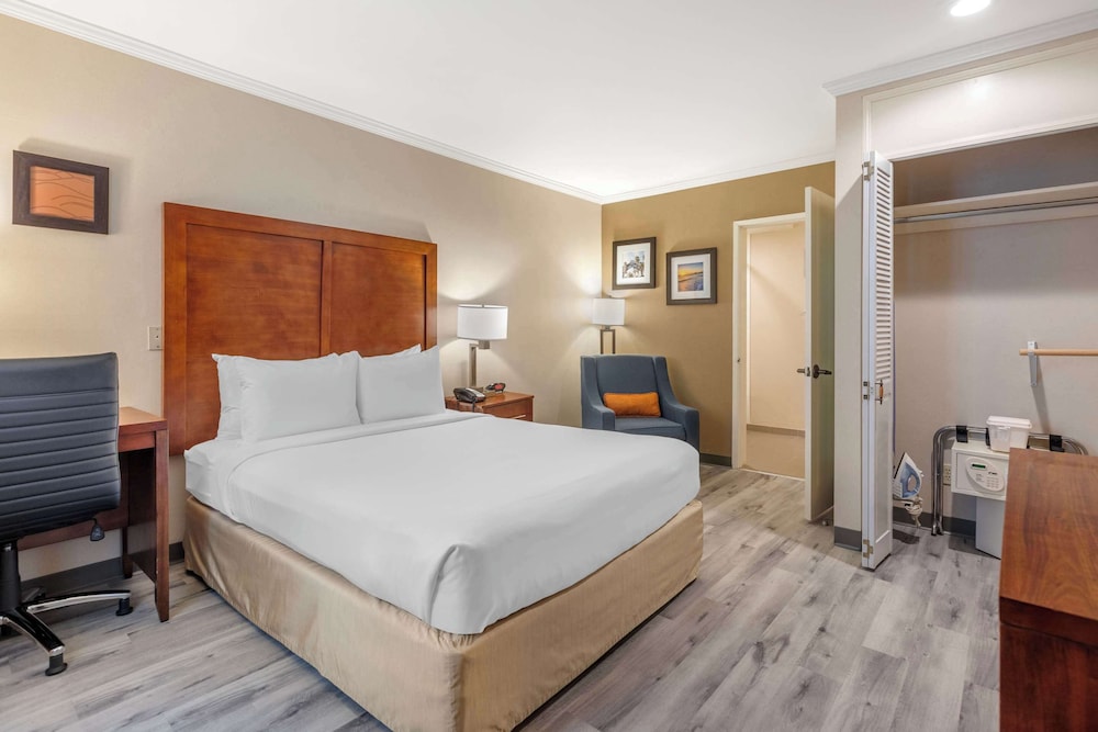 STANDARD, QUEEN BED, ACCESSIBLE
