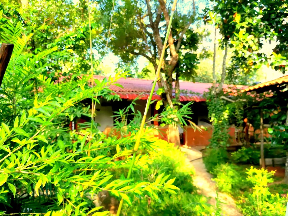 Sisira Natural Lodge 39/50