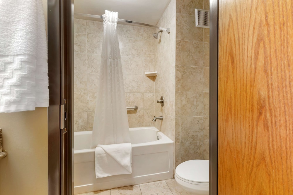 Best Western Plus Swiss Chalet Hotel & Suites 16/40