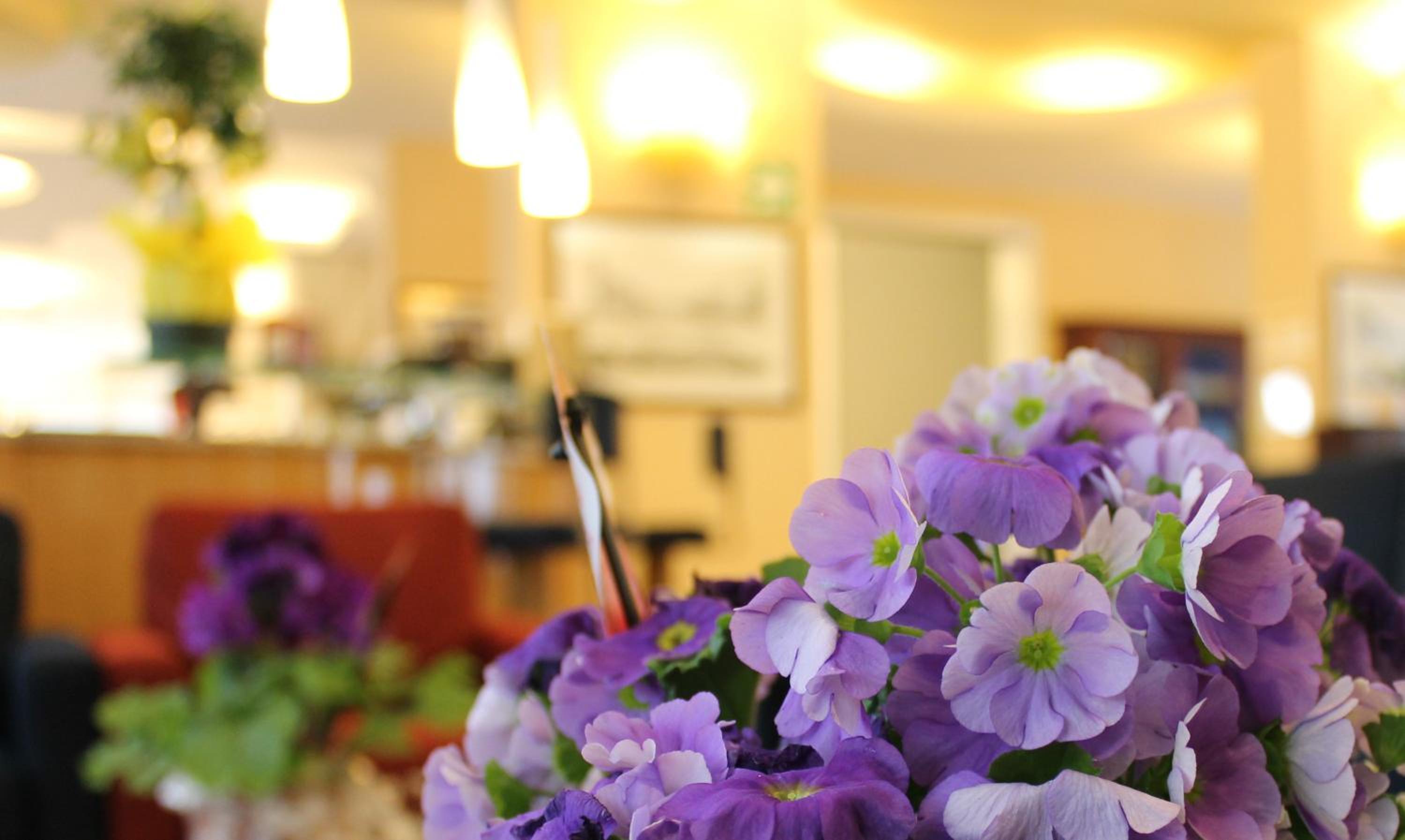 Hotel Albatros 32/55