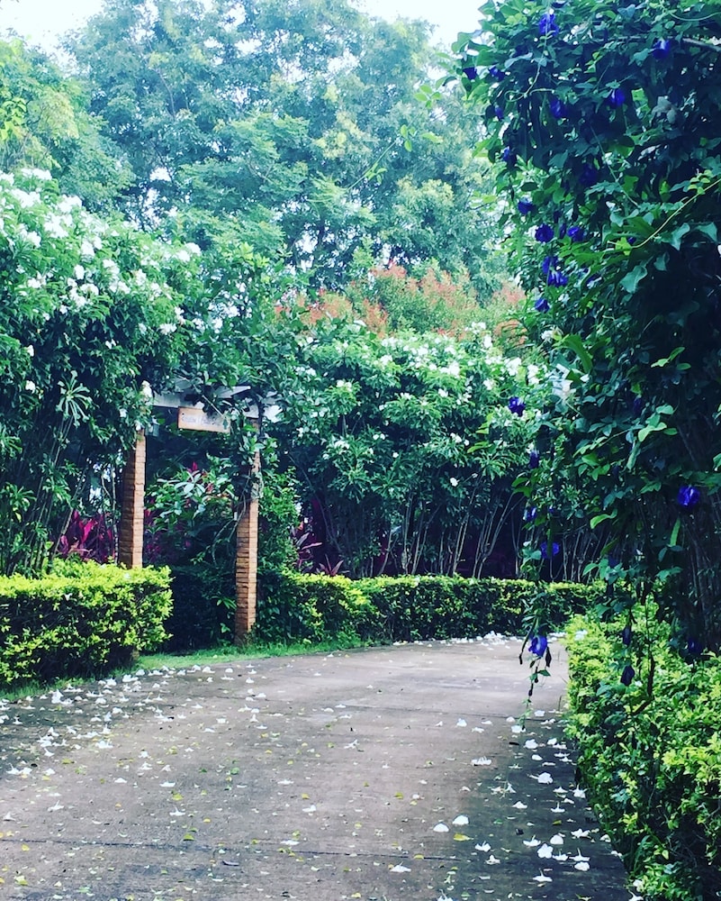 Khaoyai Nature Retreat 32/48