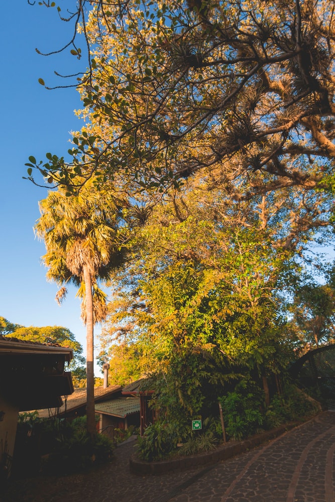 Finca Rosa Blanca Coffee Plantation And Inn 40/50