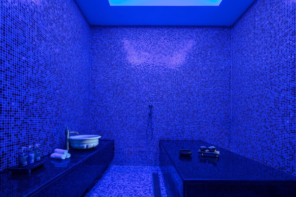 حياة ريجينسي(Hyatt Regency Riyadh Olaya) 38/75