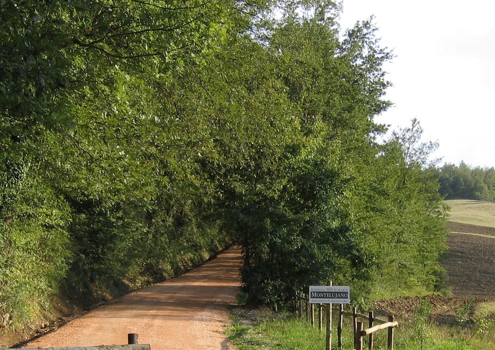 Azienda Agraria Montelujano 20/35