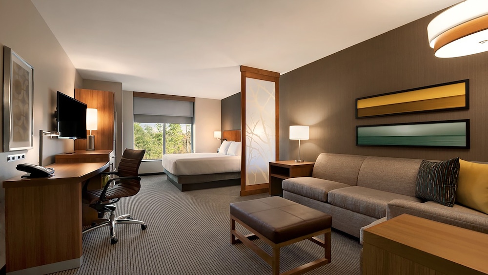 Hyatt Place Houston / The Woodlands 30/64