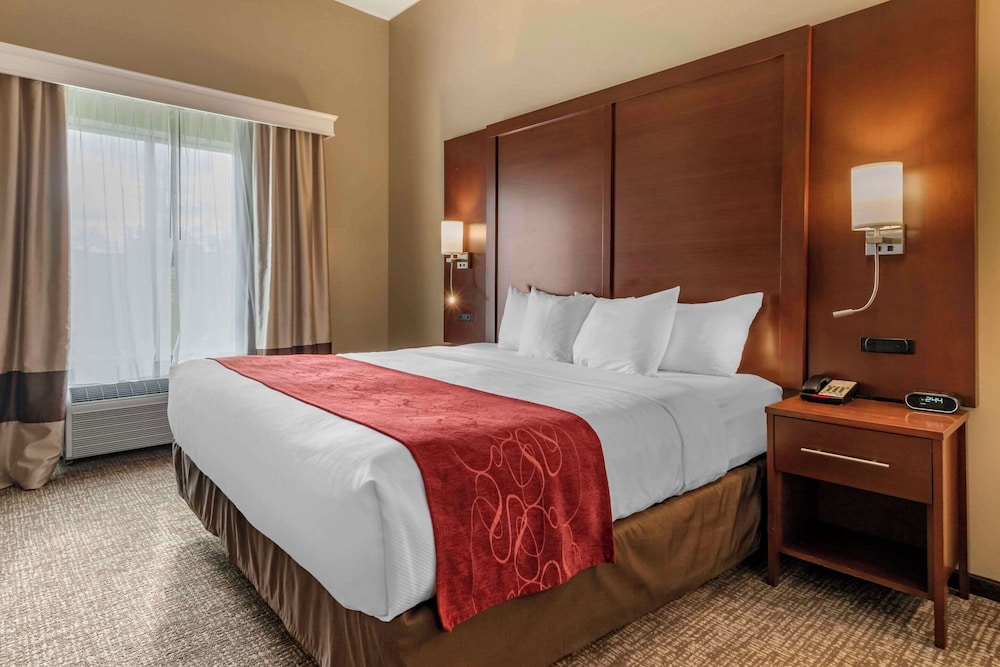 Comfort Suites Manheim - Lancaster 13/55
