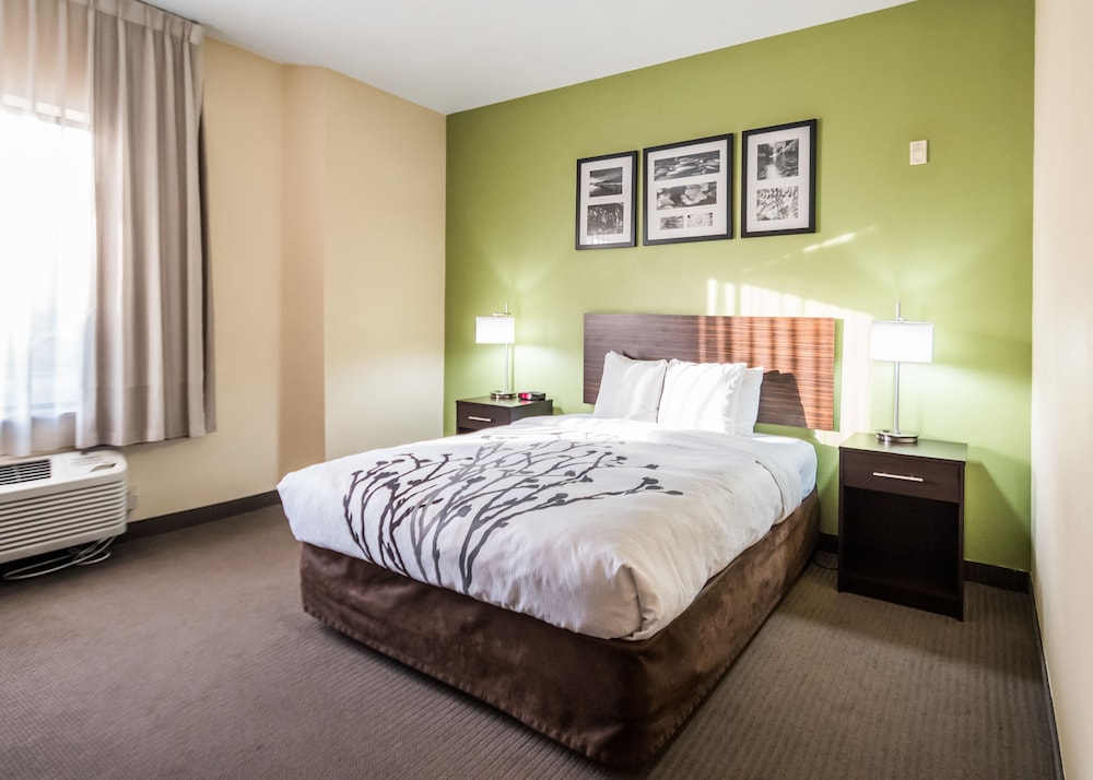 Standard, Queen Bed