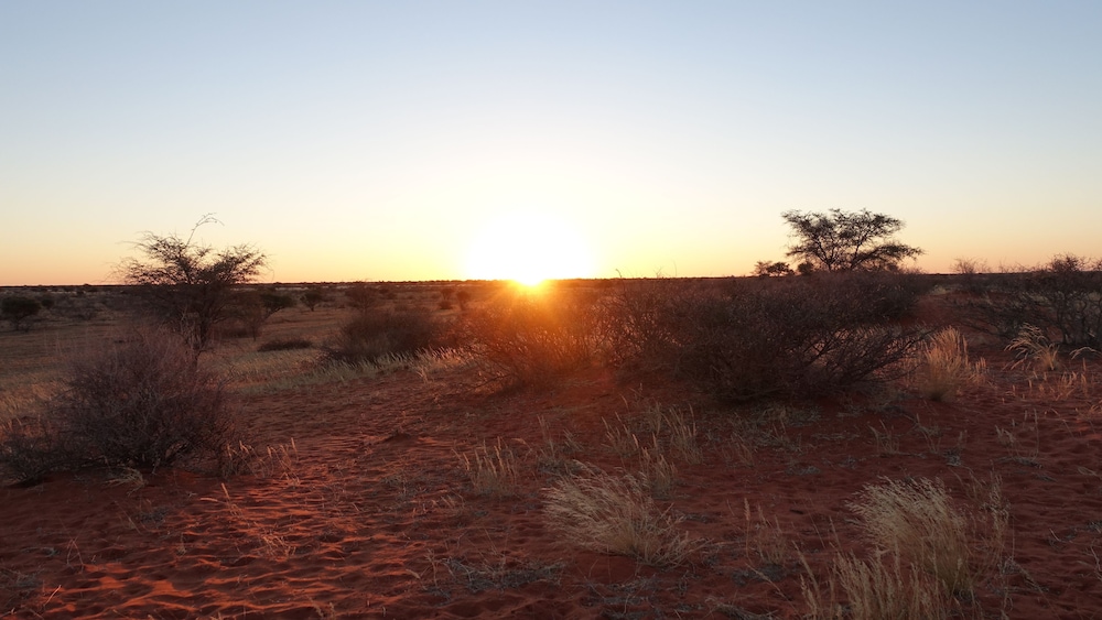 Kalahari Anib Lodge 65/71