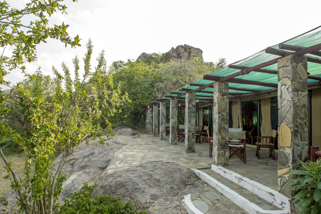 Mbuzi Mawe Serena Camp 46/60