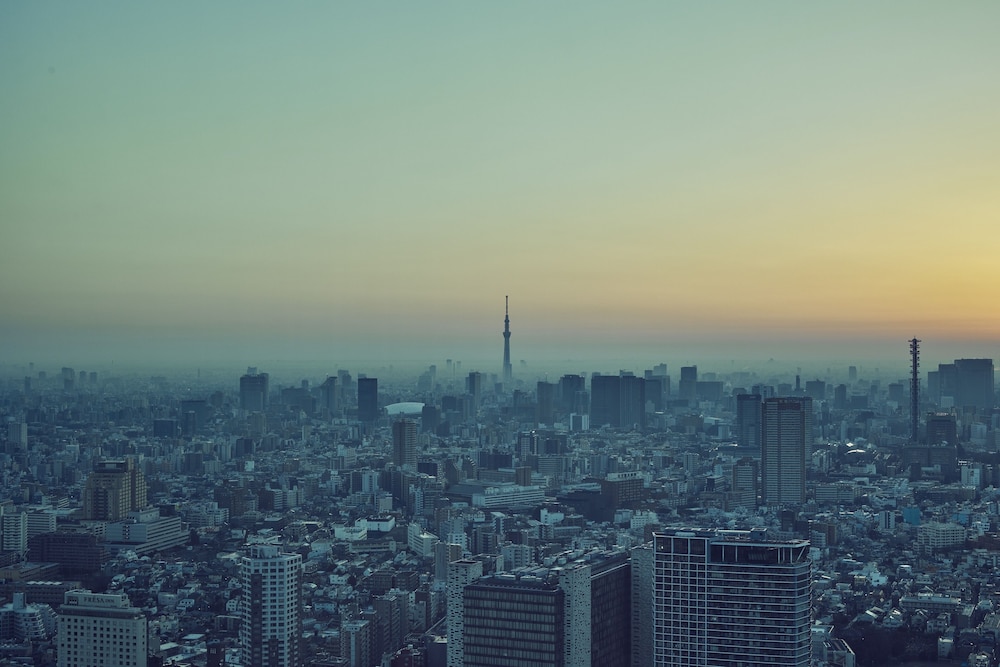 BELLUSTAR TOKYO, A Pan Pacific Hotel 41/50