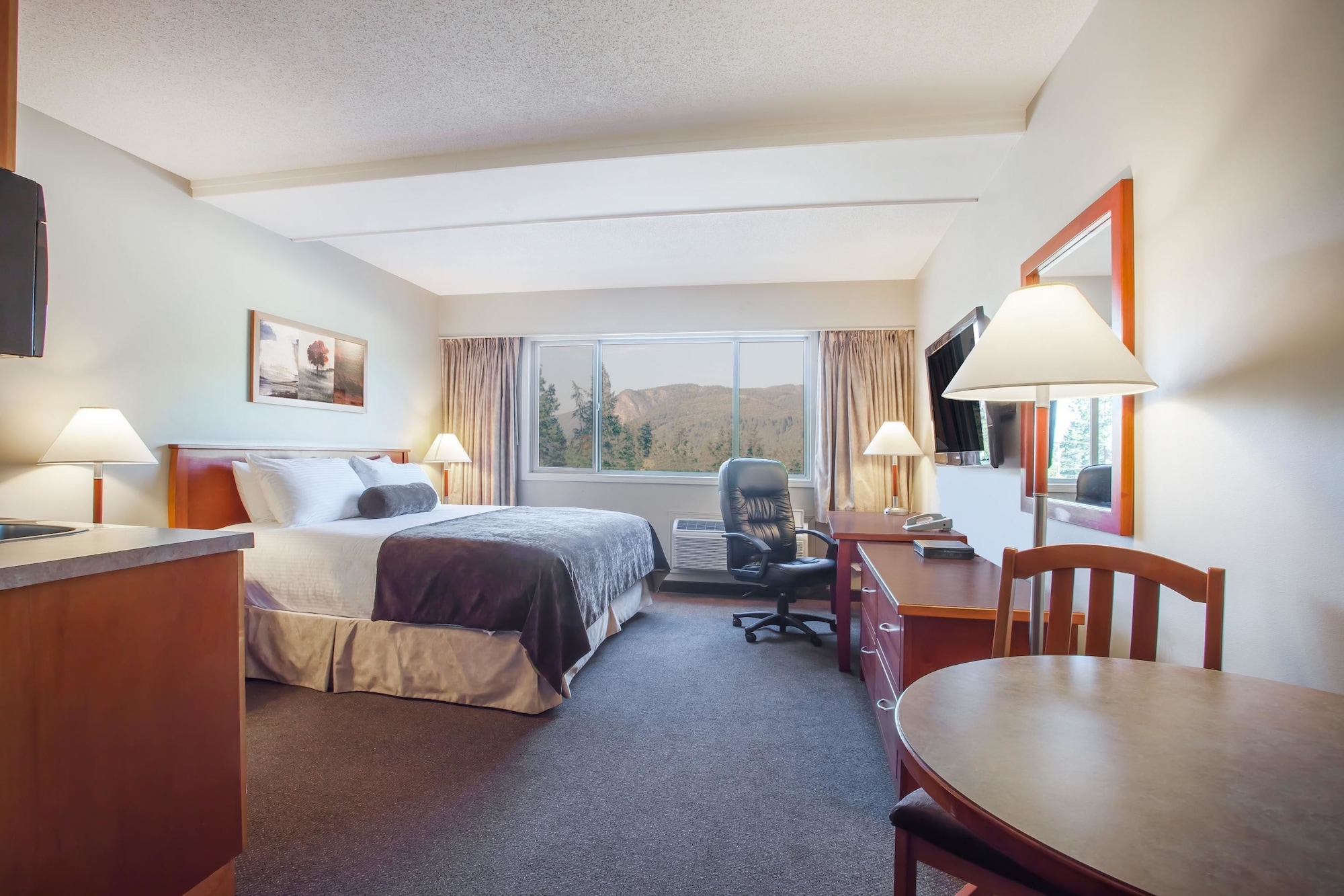 1 Bedroom, Efficiency, Suite, King Bed