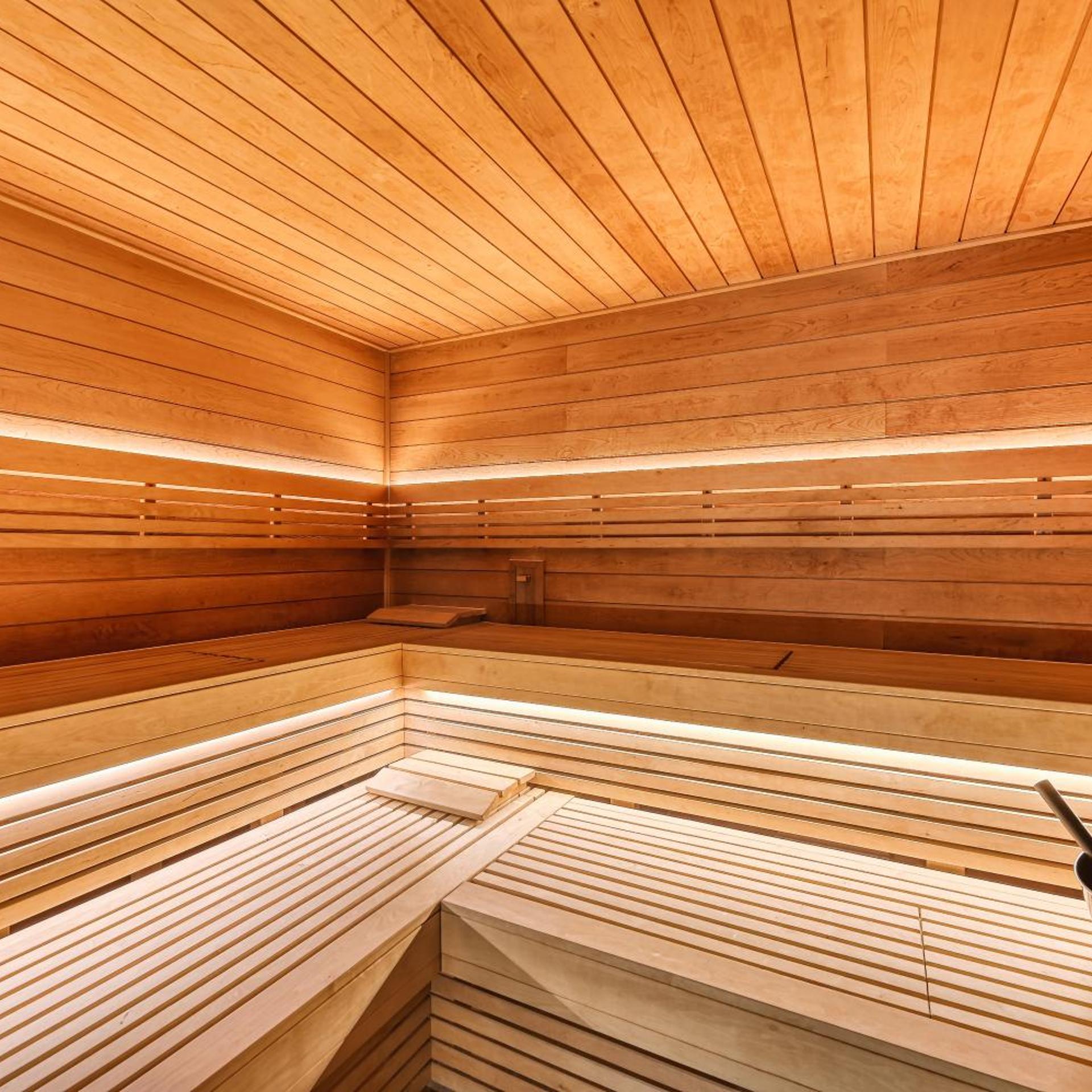 Wellness Hotel Fenix liberec 36/65