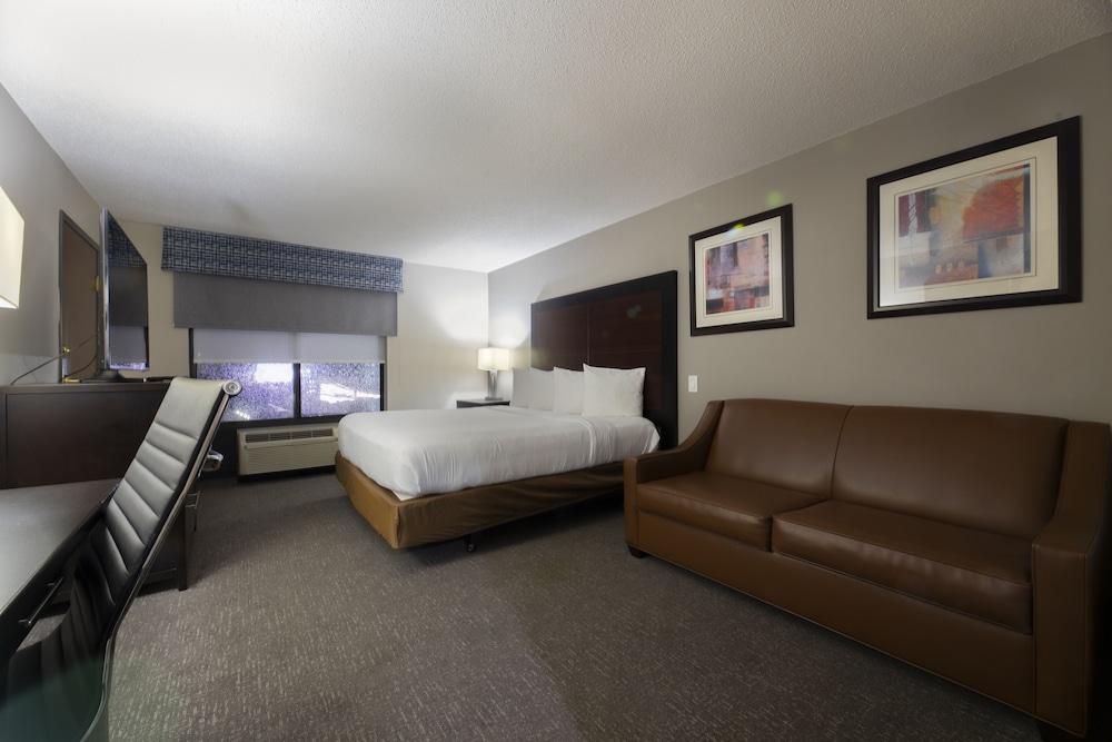 Wingate by Wyndham Atlanta Galleria Ballpark 14/50
